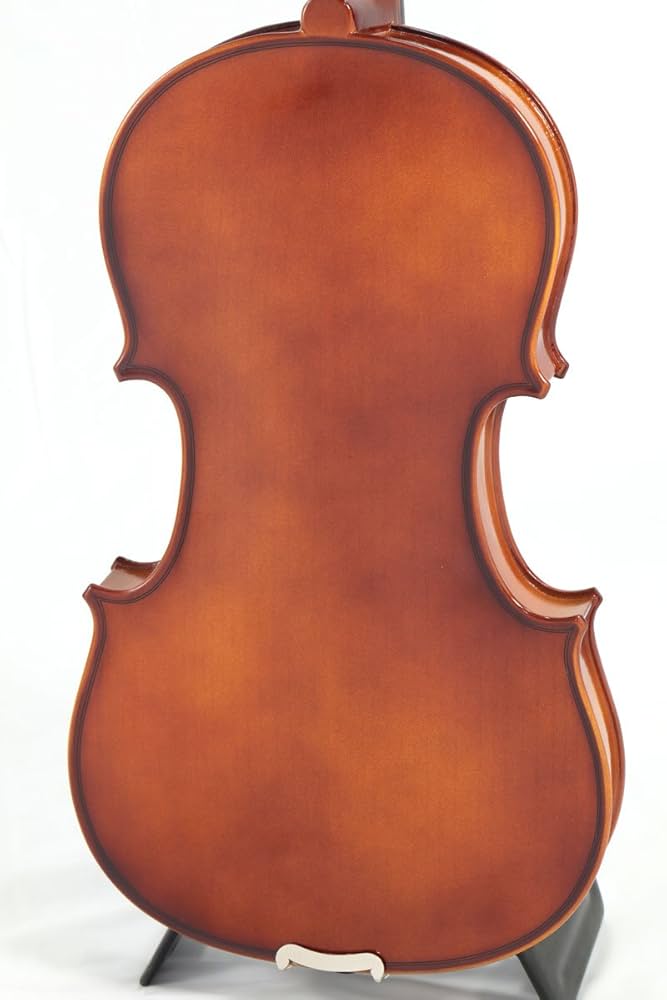 【美品】1/2 バイオリン カルロジョルダーノ Carlo giordano VS-1 1/2 バイオリンセット カルロジョルダーノ
